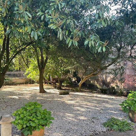 Annexe Du Pont De La Charente Apartment Chateauneuf-sur-Charente ภายนอก รูปภาพ