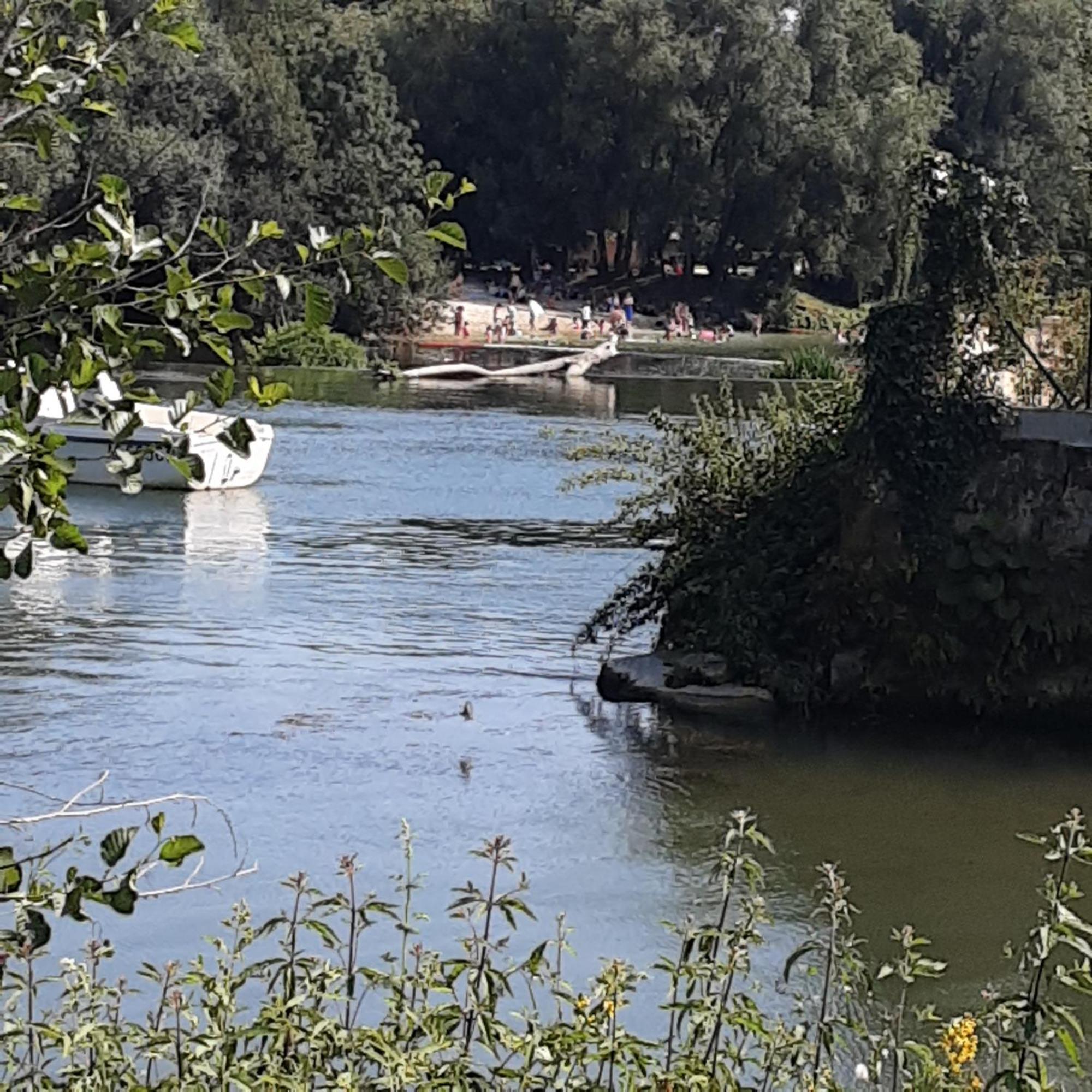 Annexe Du Pont De La Charente Apartment Chateauneuf-sur-Charente ภายนอก รูปภาพ