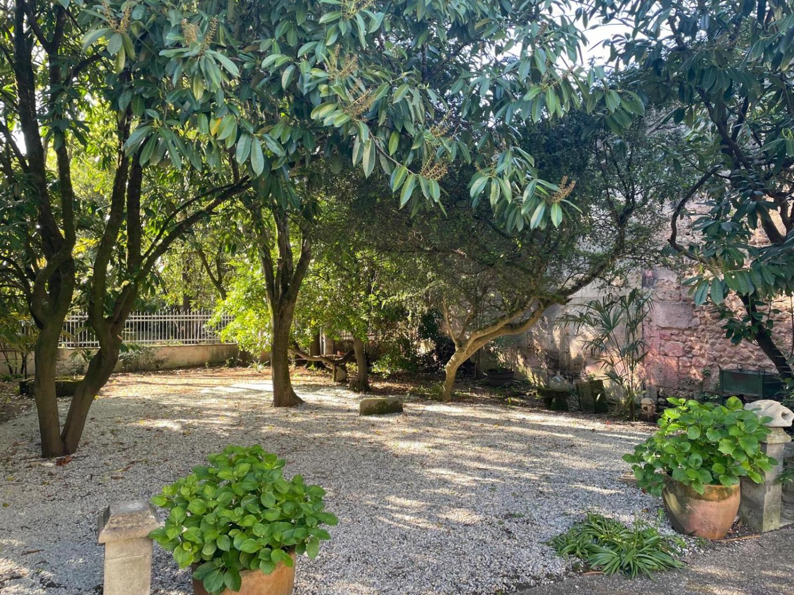 Annexe Du Pont De La Charente Apartment Chateauneuf-sur-Charente ภายนอก รูปภาพ