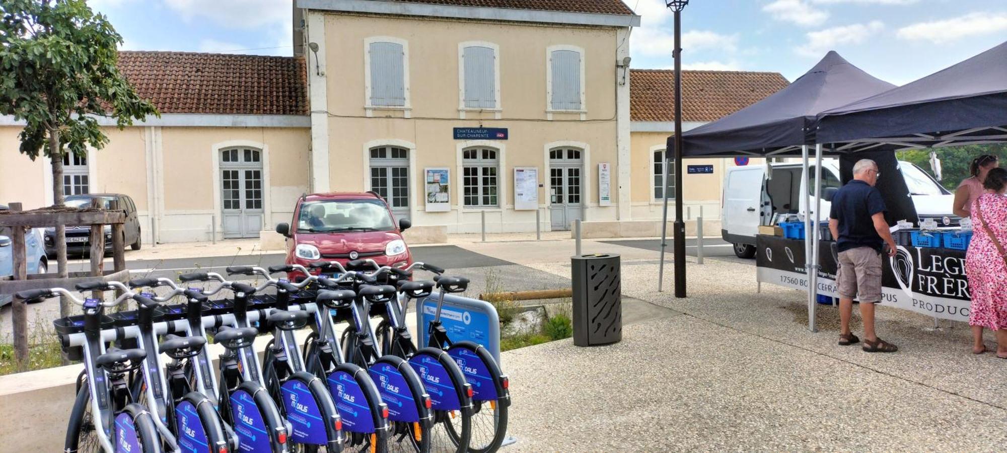 Annexe Du Pont De La Charente Apartment Chateauneuf-sur-Charente ภายนอก รูปภาพ
